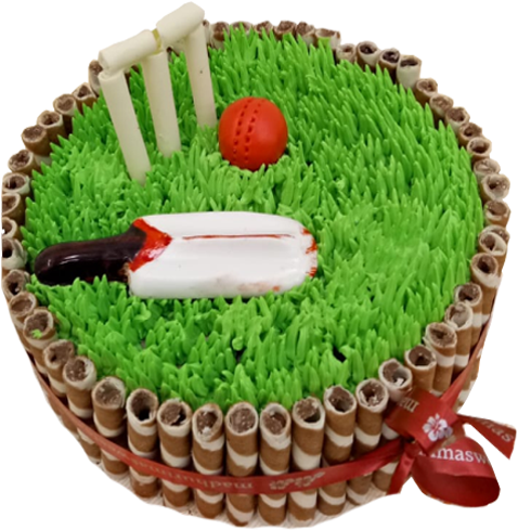 Cricket Themed Celebration Cake PNG image