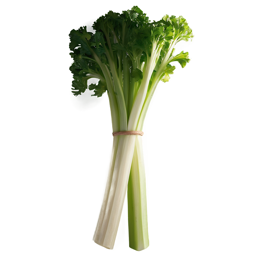 Crisp Celery Bunch Png Ylr PNG image