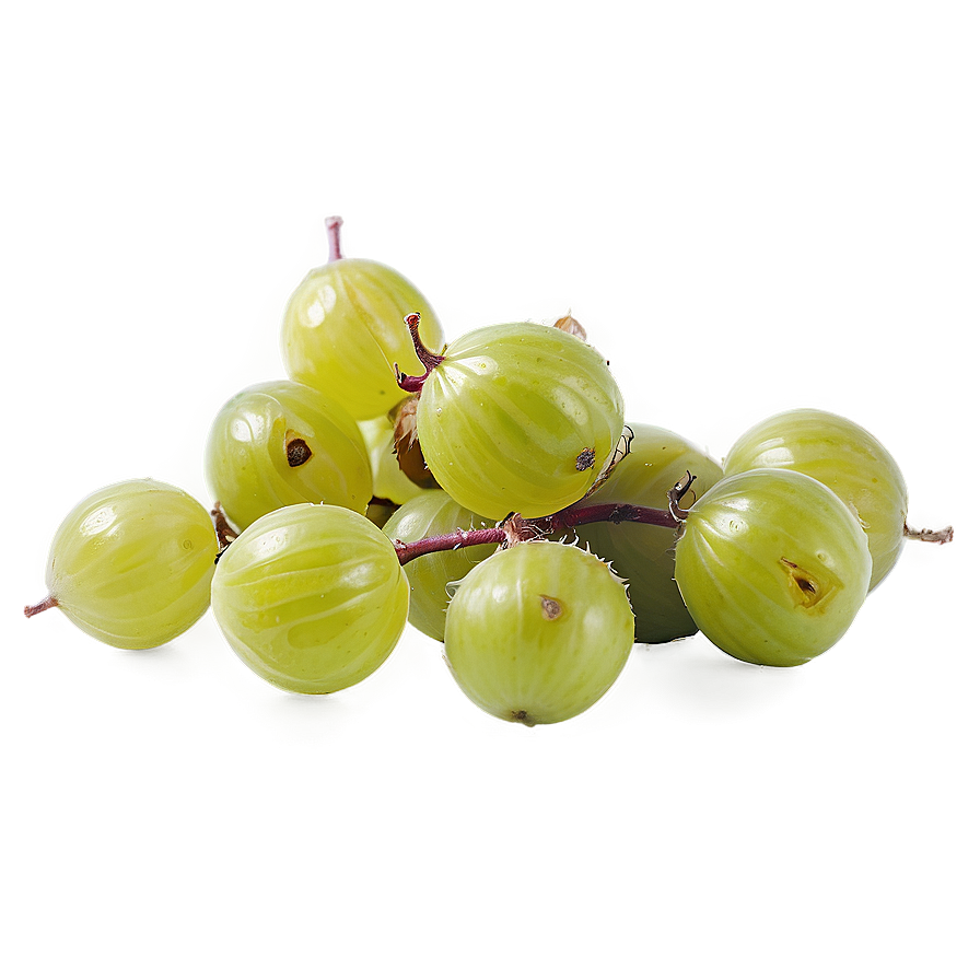 Crisp Gooseberry Png 05232024 PNG image