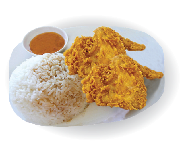 Crispy Chicken Wings With Riceand Sauce PNG image