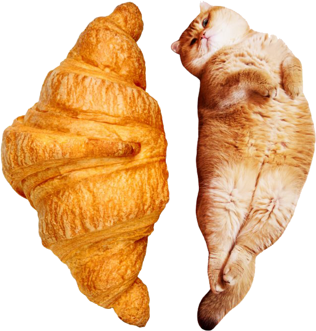 Croissant Cat_ Mirrored Symmetry PNG image