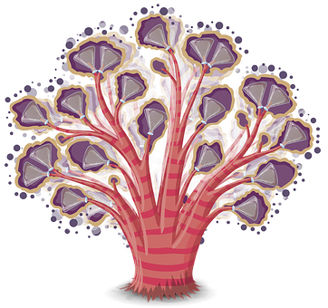 Cross Section Illustrationof Tree PNG image