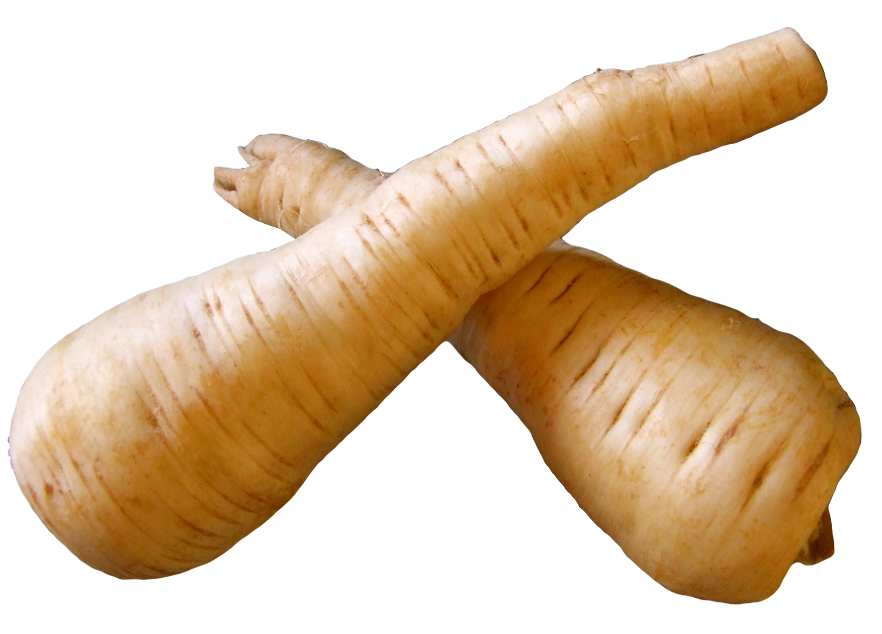 Crossed Parsnips Isolated PNG image