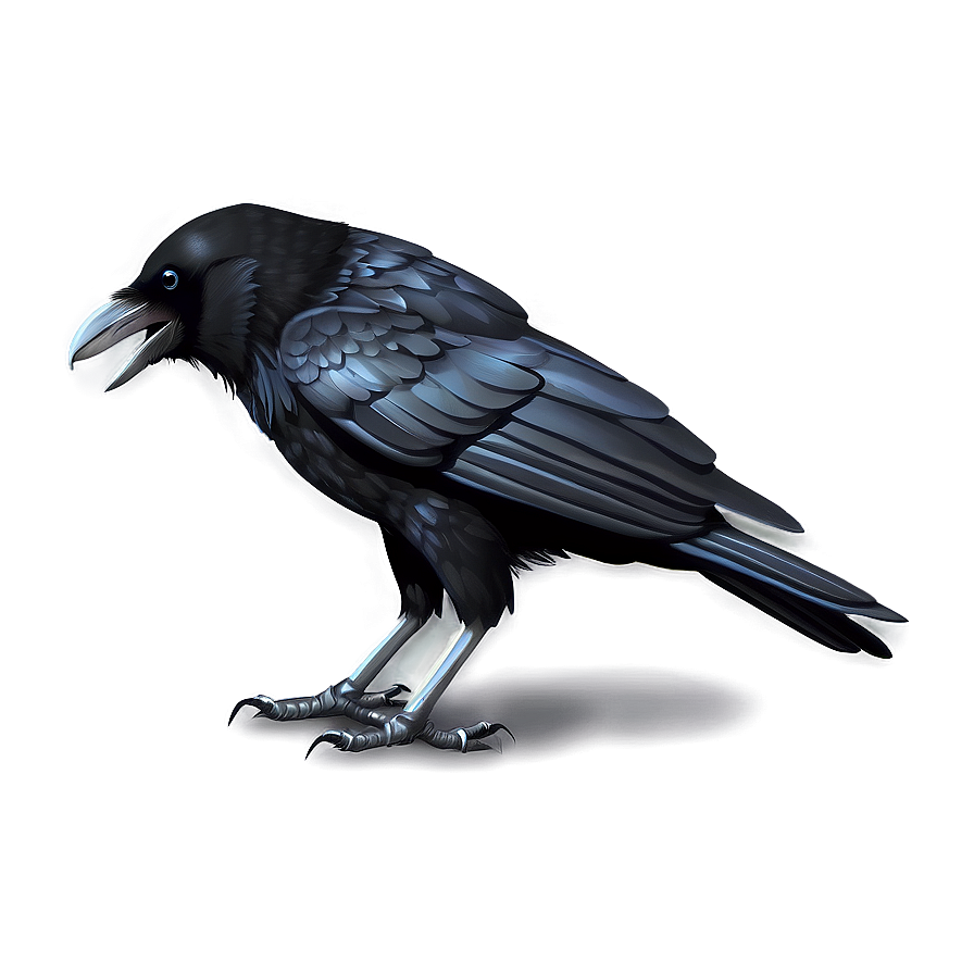 Crow Clipart Png 05232024 PNG image