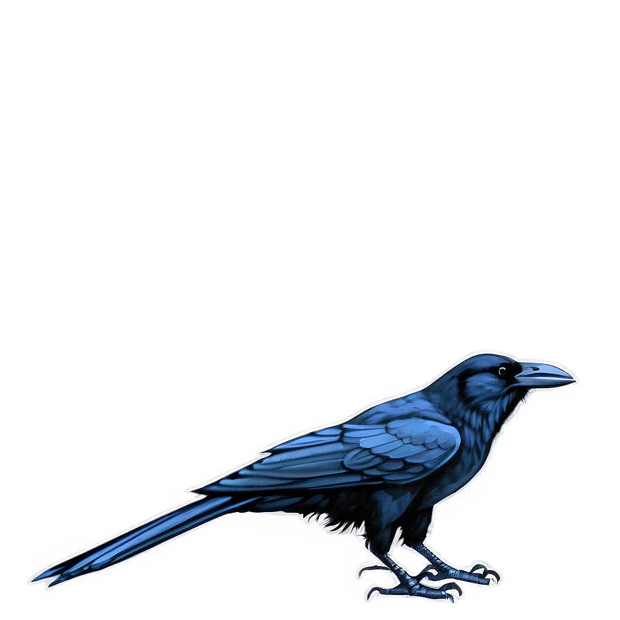 Crow Drawing Png 87 PNG image