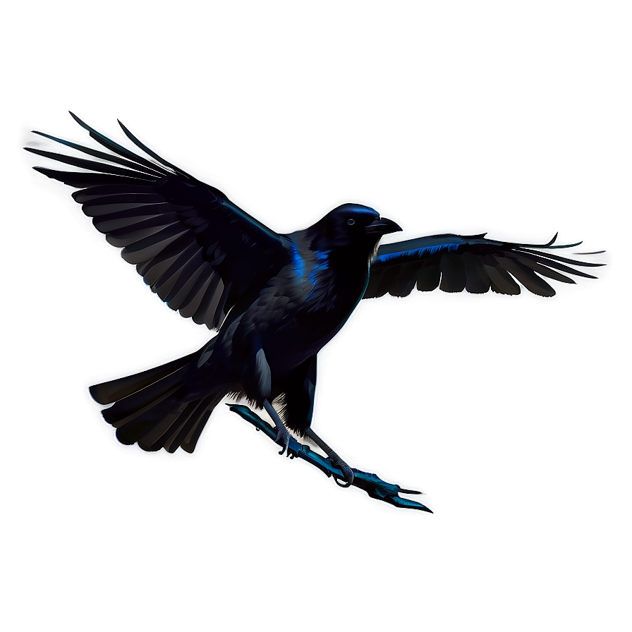 Crow Silhouette Png 05232024 PNG image