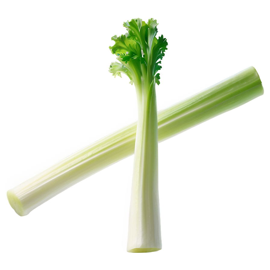 Crunchy Celery Png 06252024 PNG image