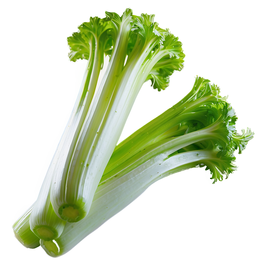 Crunchy Celery Png Wqs71 PNG image