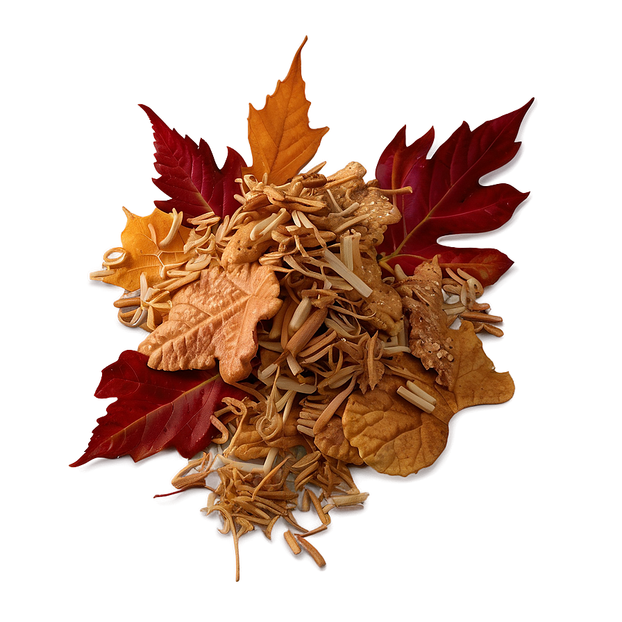 Crunchy Leaves Heap Png 06212024 PNG image