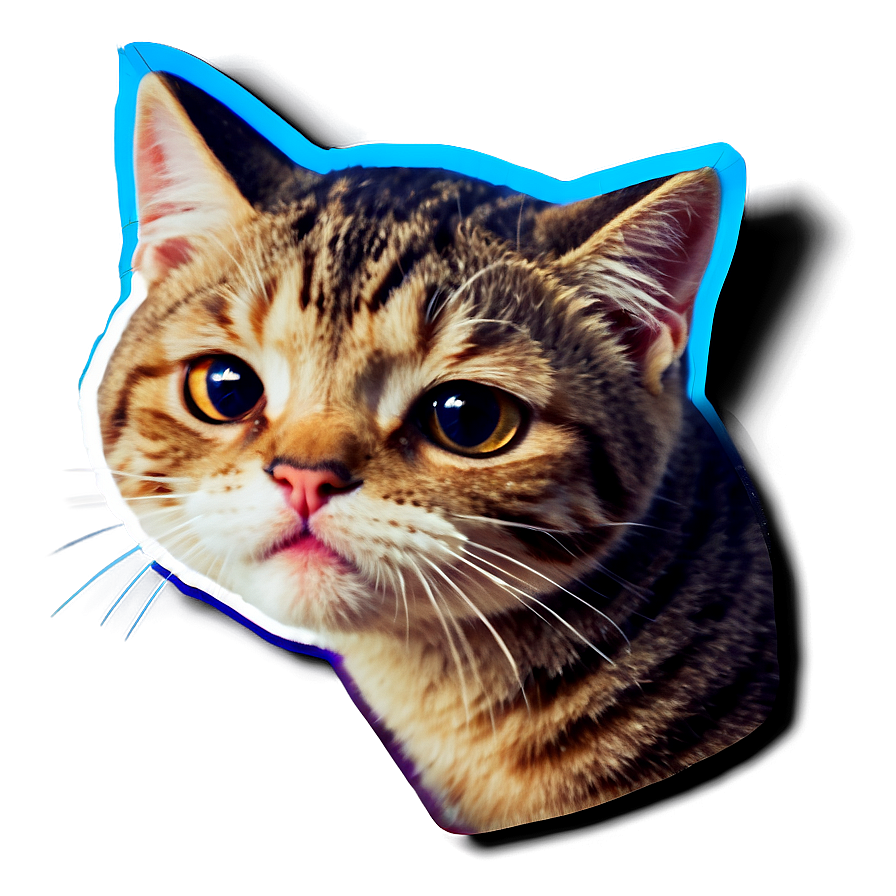 Crying Cat Sticker Design Png 59 PNG image