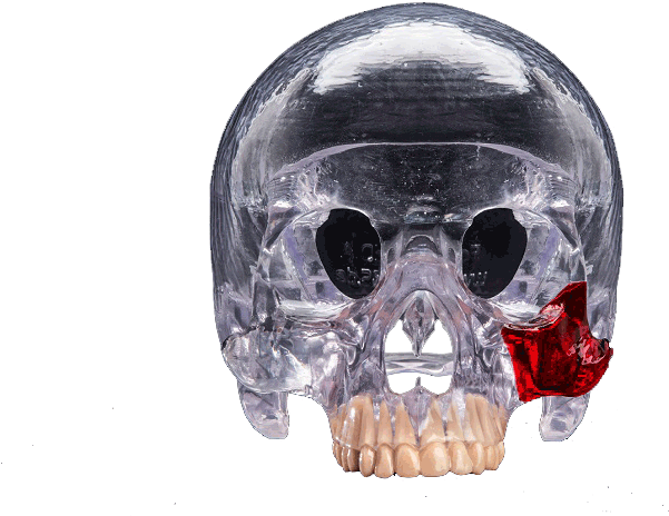 Crystal Skullwith Red Crystal Detail PNG image