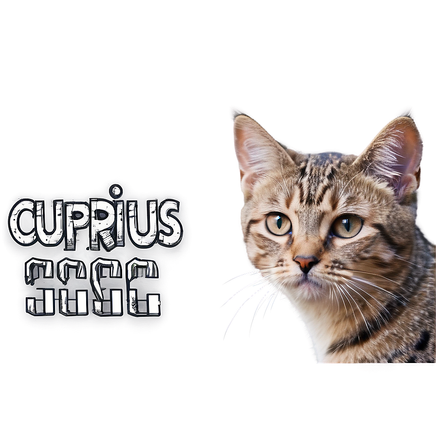 Curious Cat Meme Png 05212024 PNG image