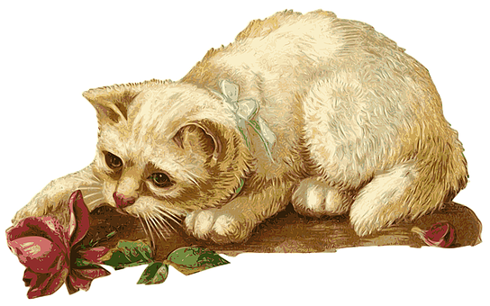 Curious Kittenwith Rose Vintage Illustration PNG image