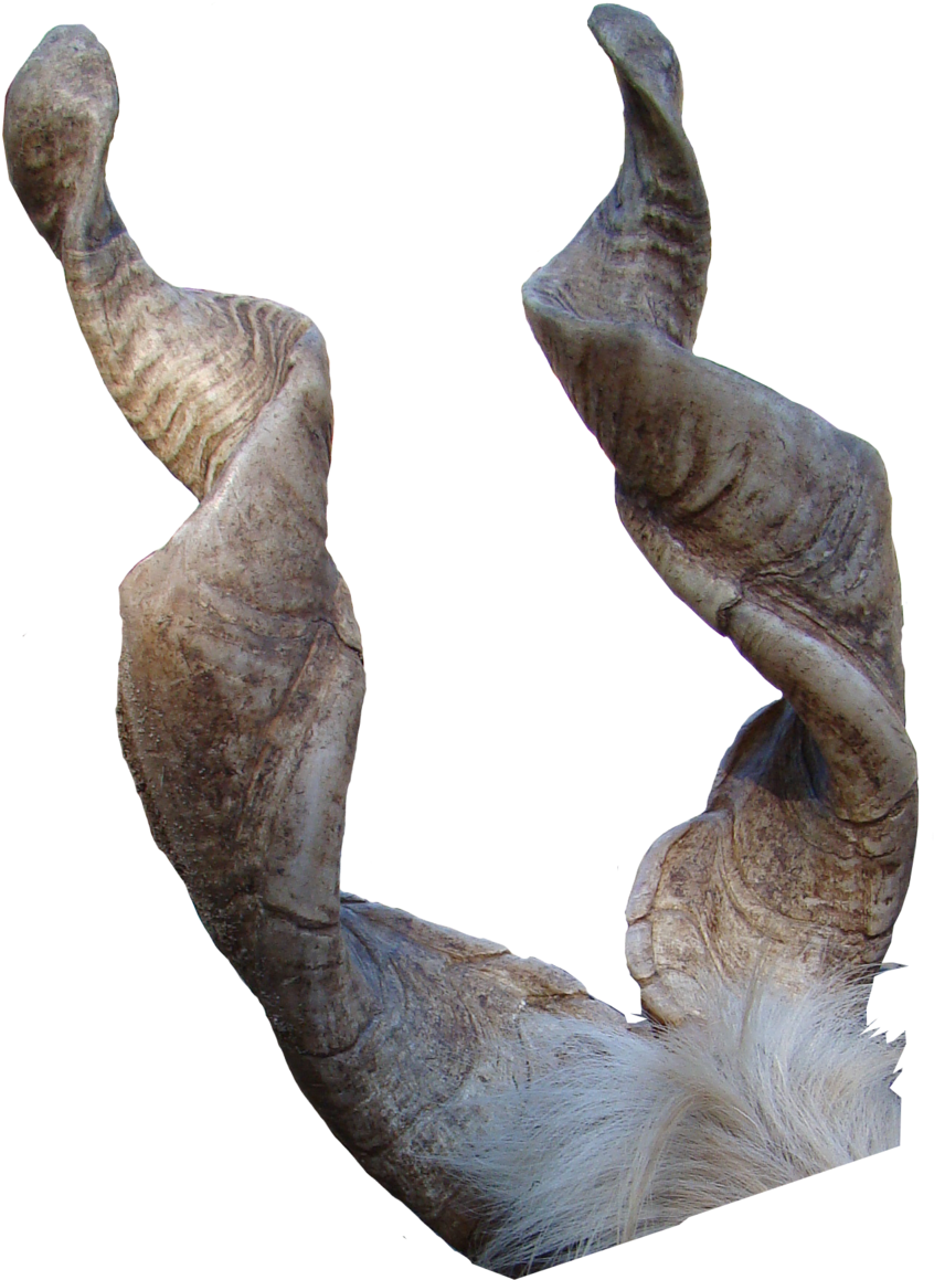 Curled Goat Horns PNG image