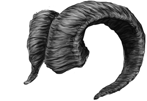 Curled Ram Horns Illustration PNG image