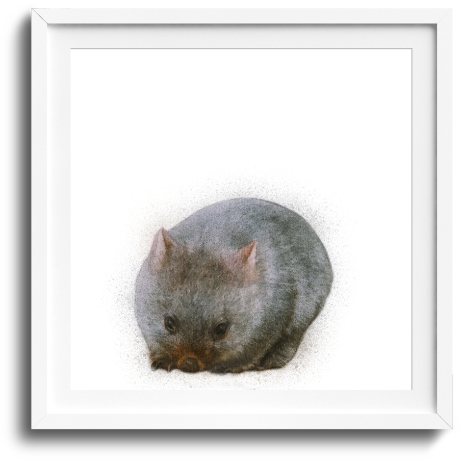 Curled Up Wombat Artwork PNG image