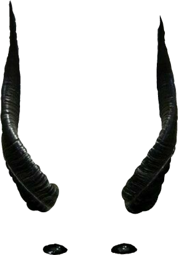 Curved Black Horns PNG image