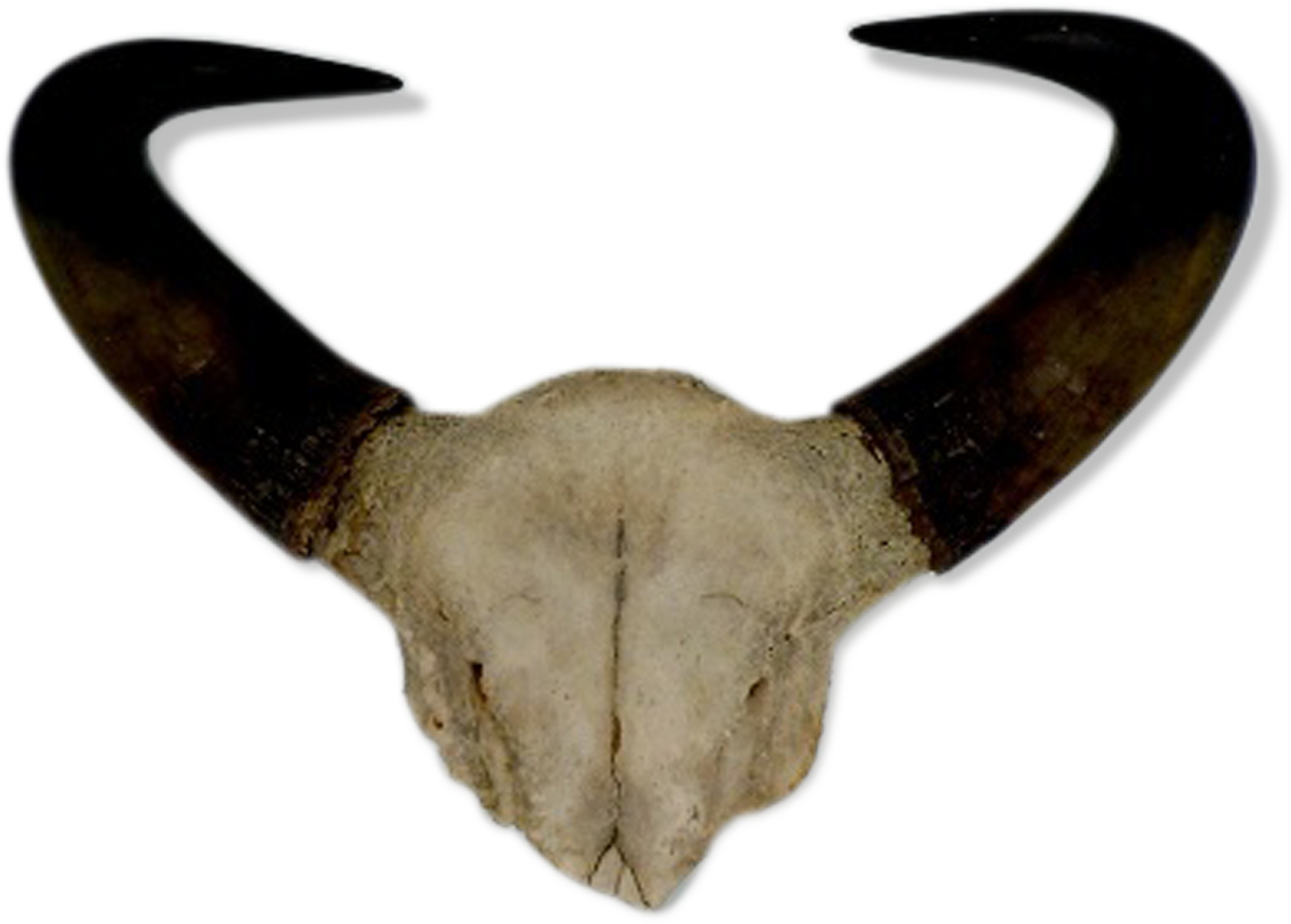 Goat Horns Png Images (100++)