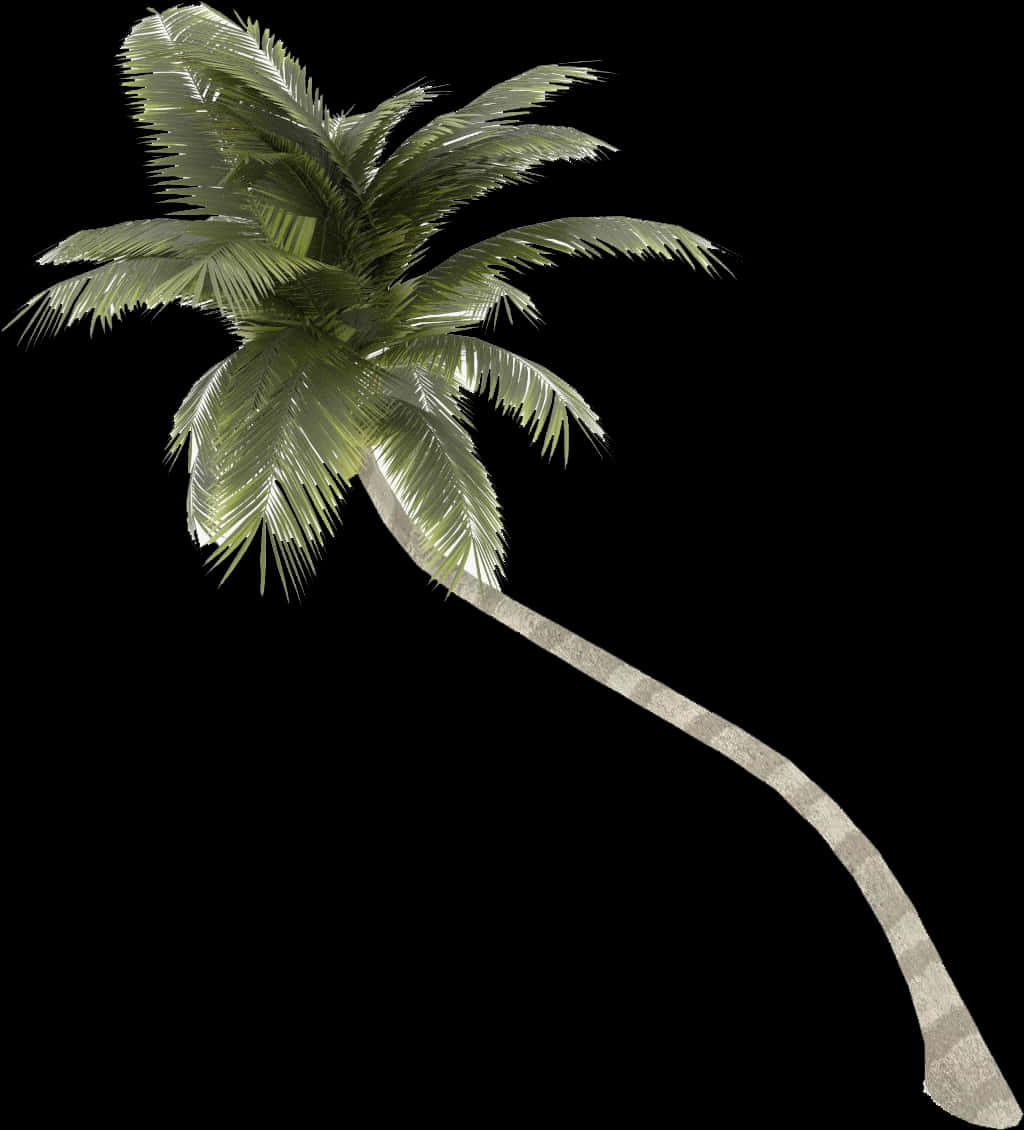 Curved Palm Tree Isolated PNG image