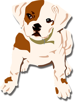 Cute Boxer Puppy Illustration PNG image