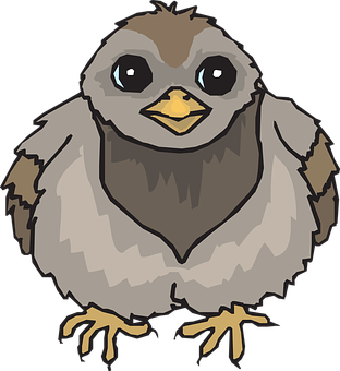 Cute Cartoon Baby Bird PNG image