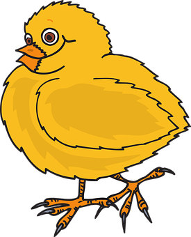 Cute Cartoon Chick Illustration PNG image