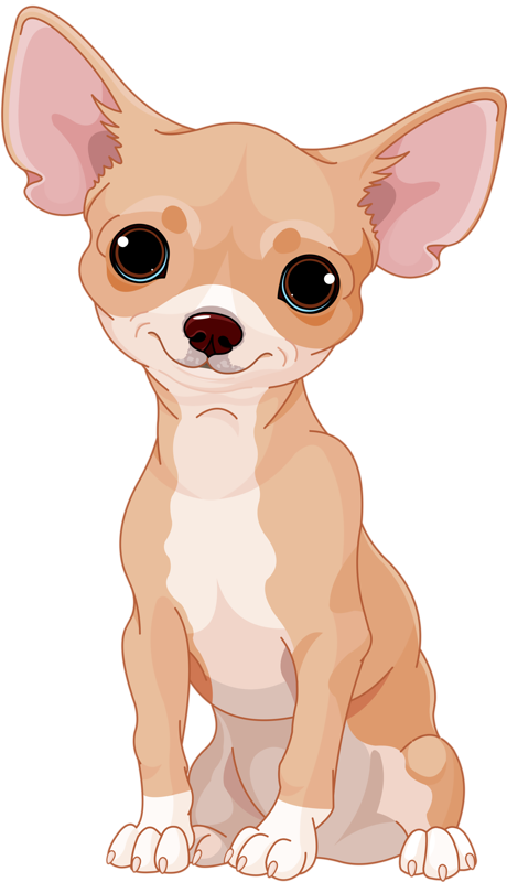 Cute Cartoon Chihuahua PNG image