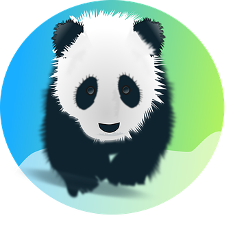 Cute Cartoon Panda Icon PNG image