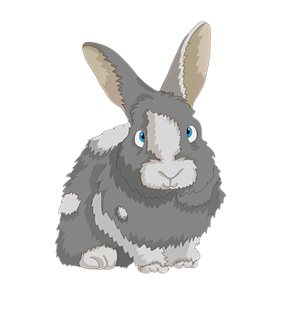 Cute Cartoon Rabbit PNG image