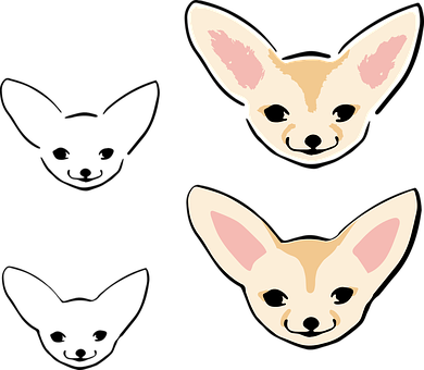 Cute Chihuahua Faces Illustration PNG image