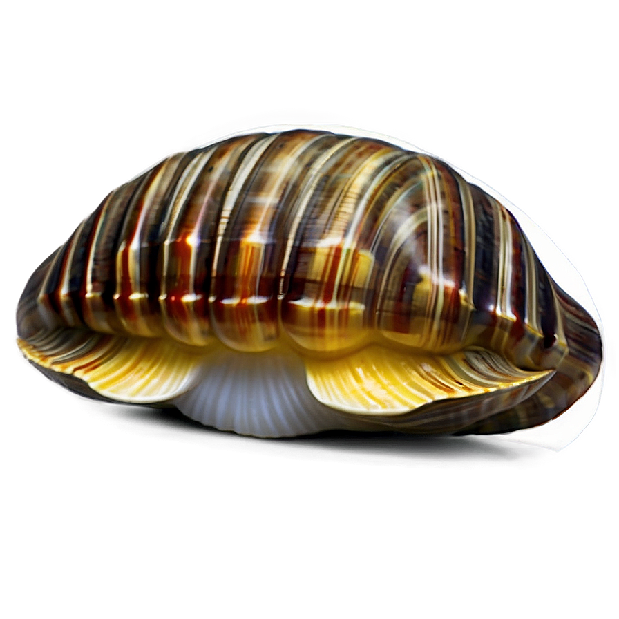 Cute Clam Emoji Png Neh75 PNG image