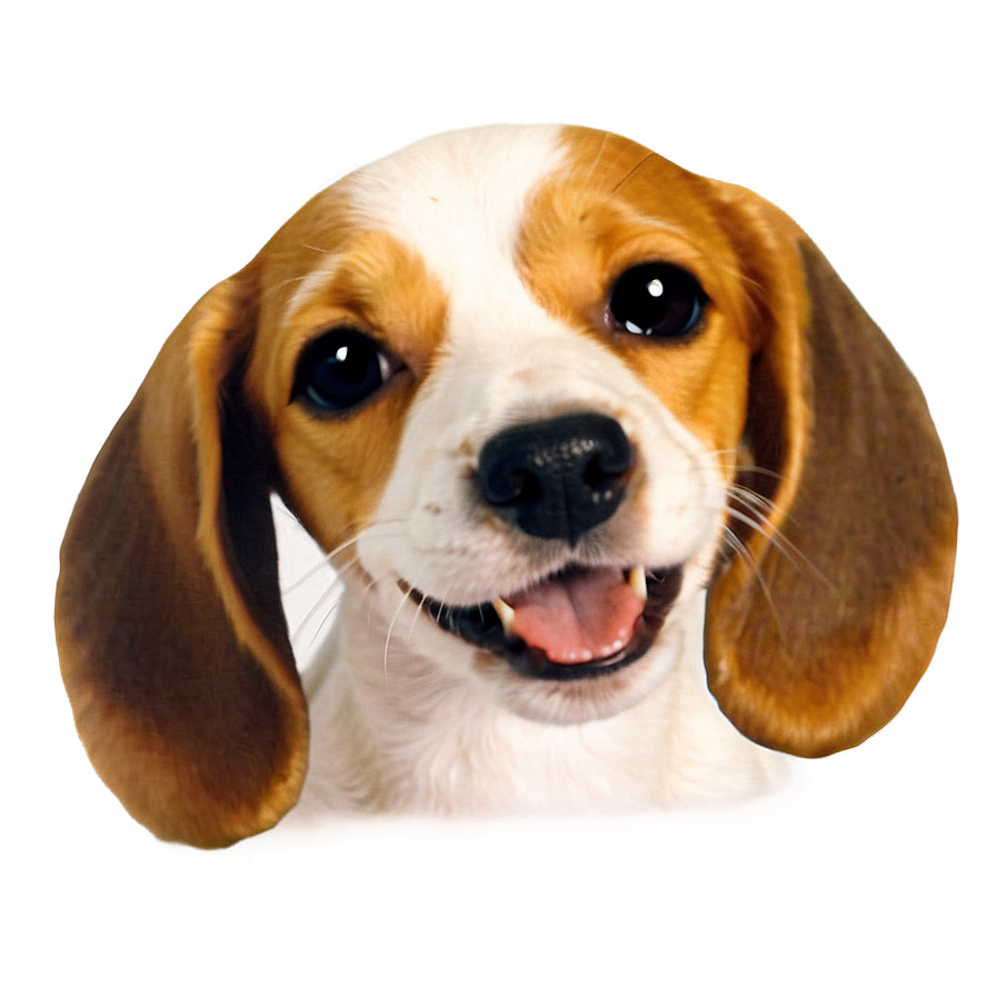 Cute Dog Transparent Png Cbu PNG image