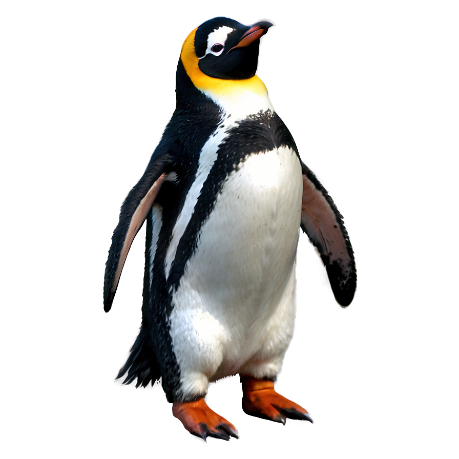 Cute Penguin Png 05062024 PNG image