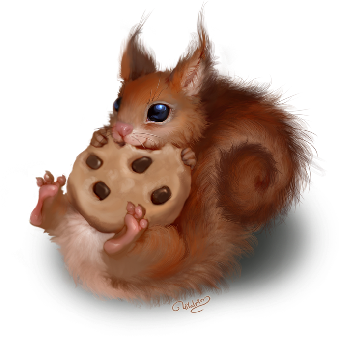 Cute Squirrel Eating Cookie PNG image