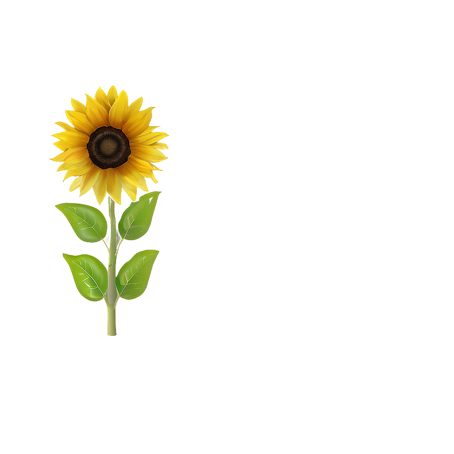 Cute Sunflower Png 98 PNG image