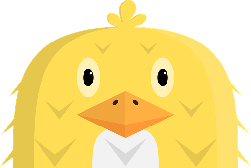 Cute Yellow Chick Cartoon PNG image