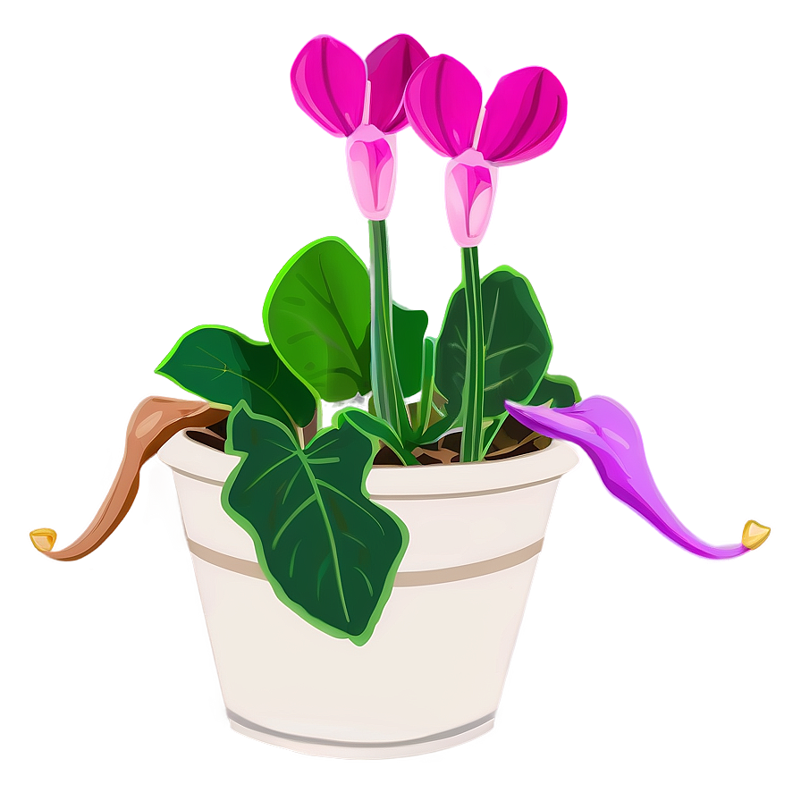 Cyclamen Flower Drawing Png 05252024 PNG image