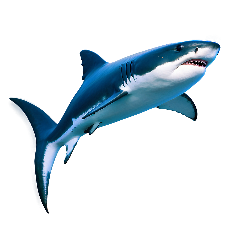 Daddy Shark Magical Png Qjj PNG image