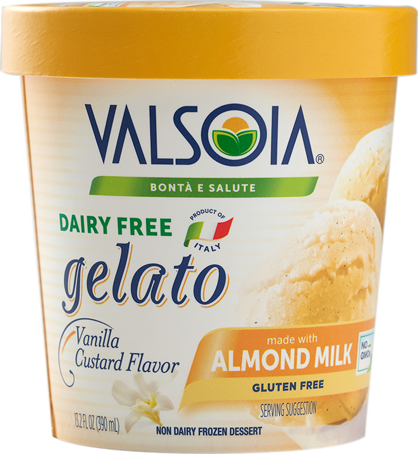 Dairy Free Vanilla Custard Gelato PNG image