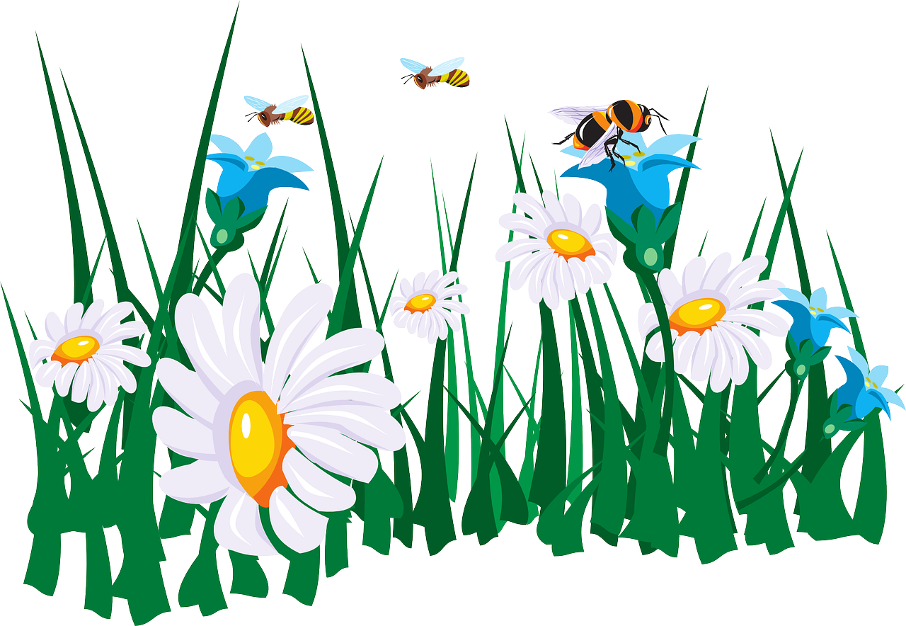 Daisiesand Bees Garden Illustration PNG image
