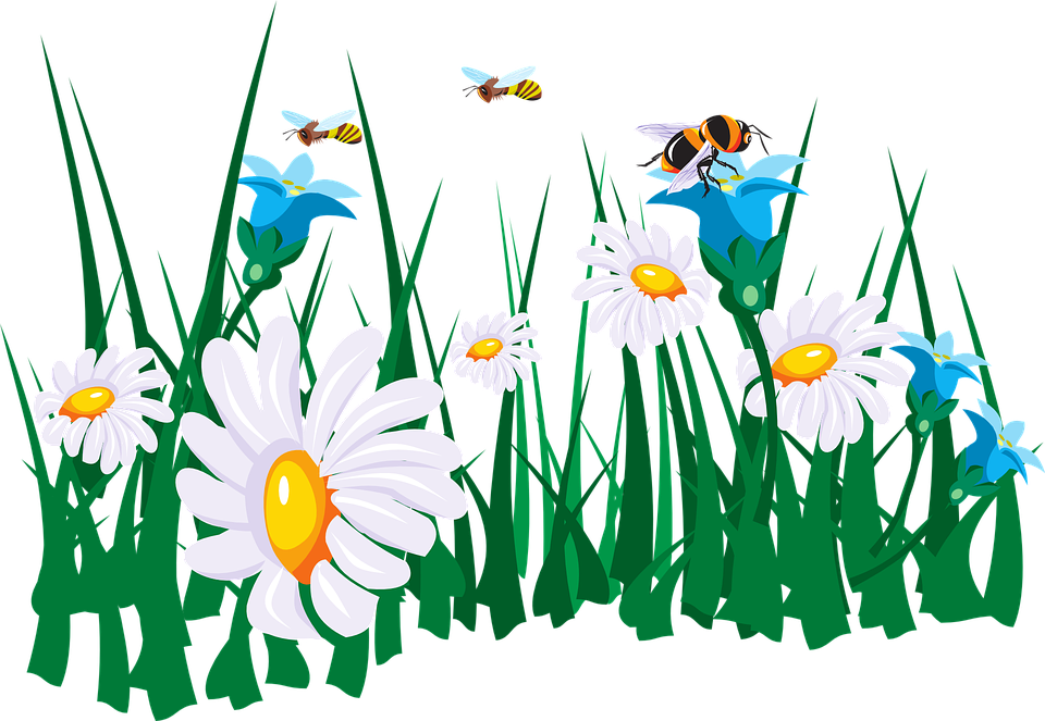 Daisiesand Bees Garden Scene PNG image