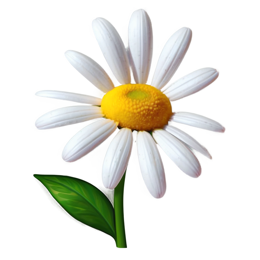 Daisy Artwork Png Lve PNG image