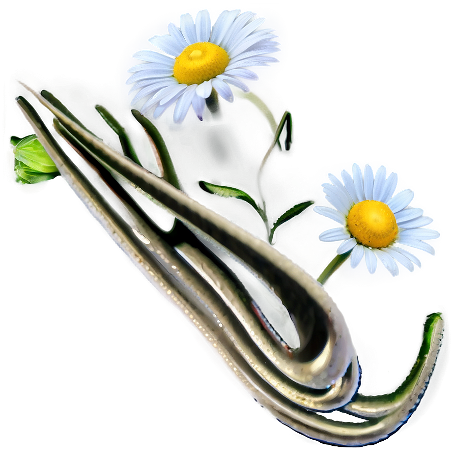 Daisy Bloom Png 66 PNG image