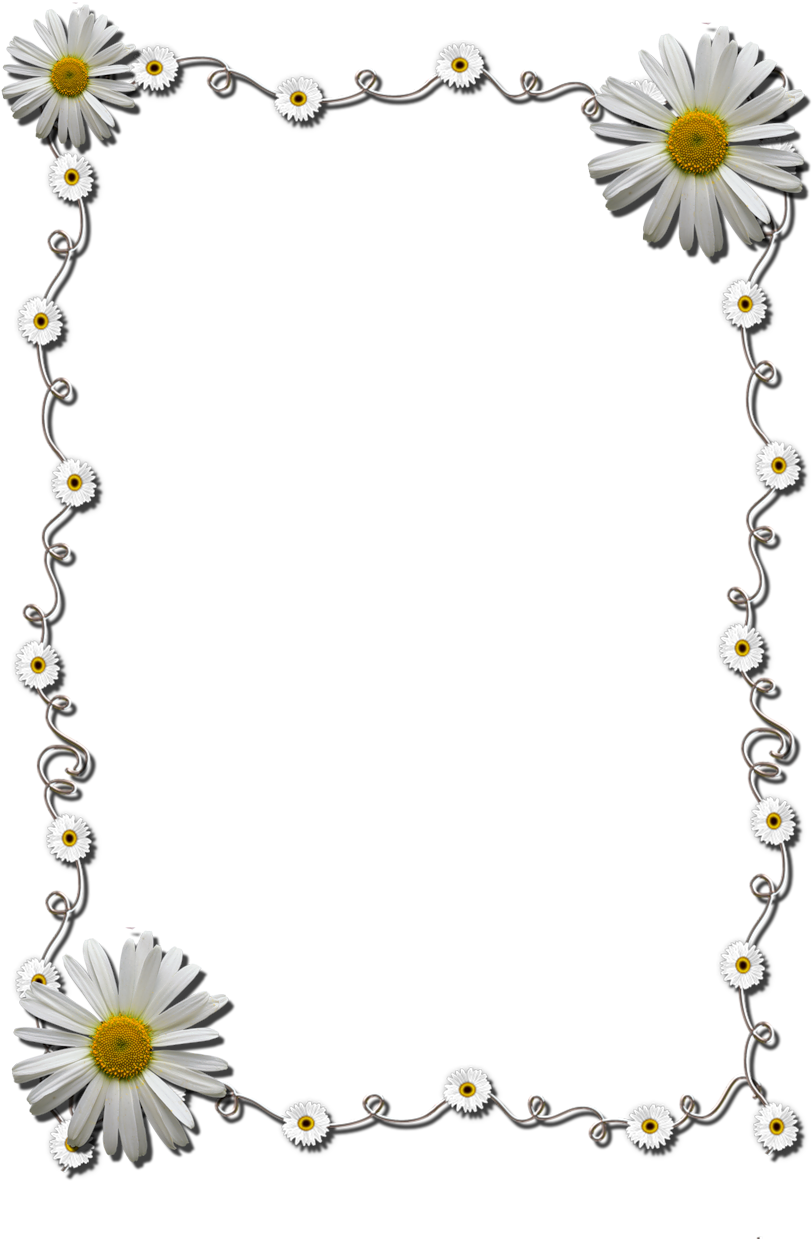 Daisy Chain Photo Frame PNG image