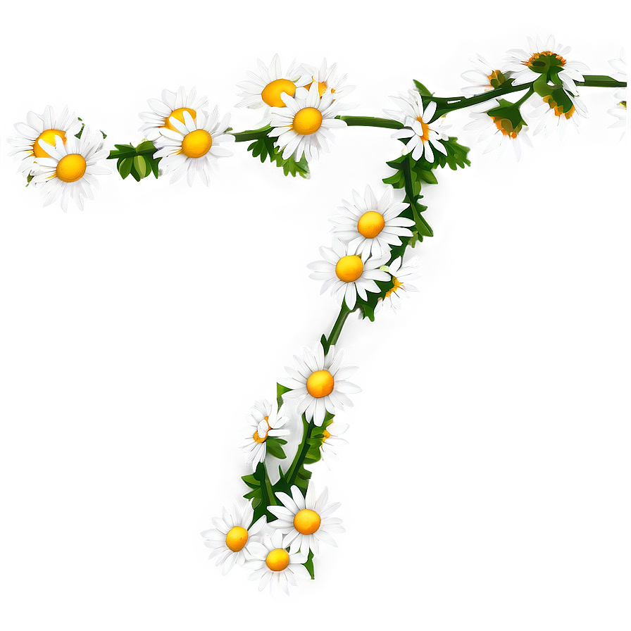 Daisy Chain Png 77 PNG image