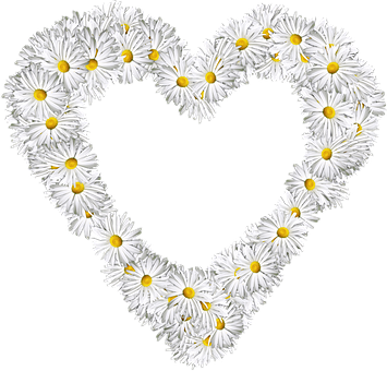 Daisy Heart Shape PNG image