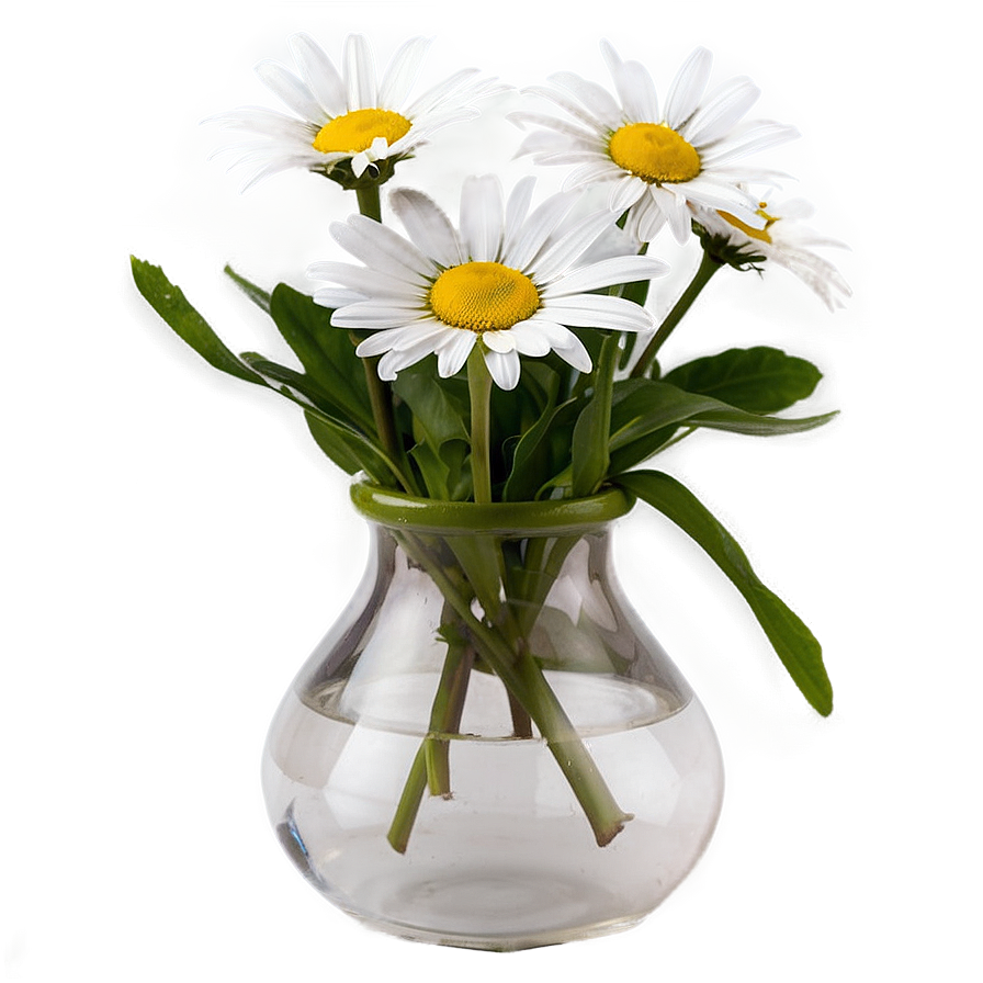 Daisy In Vase Png 32 PNG image