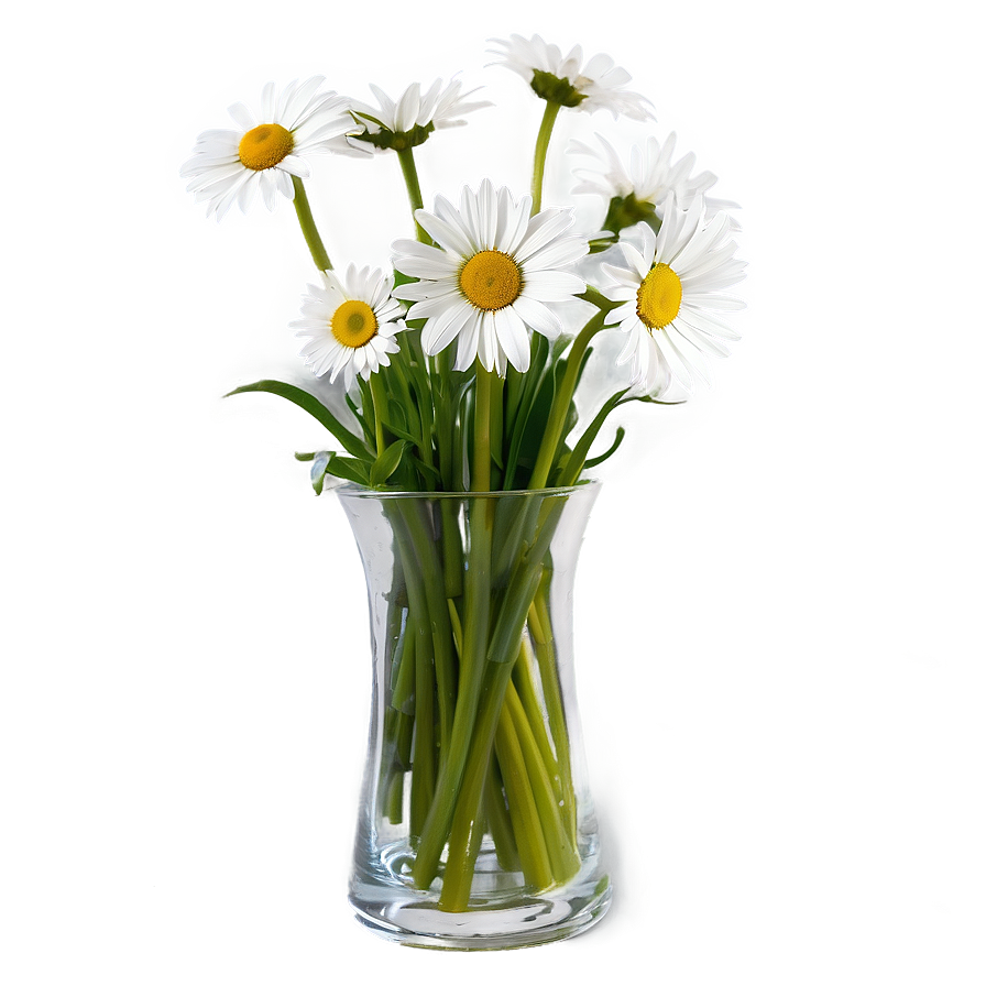 Daisy In Vase Png Fmv PNG image