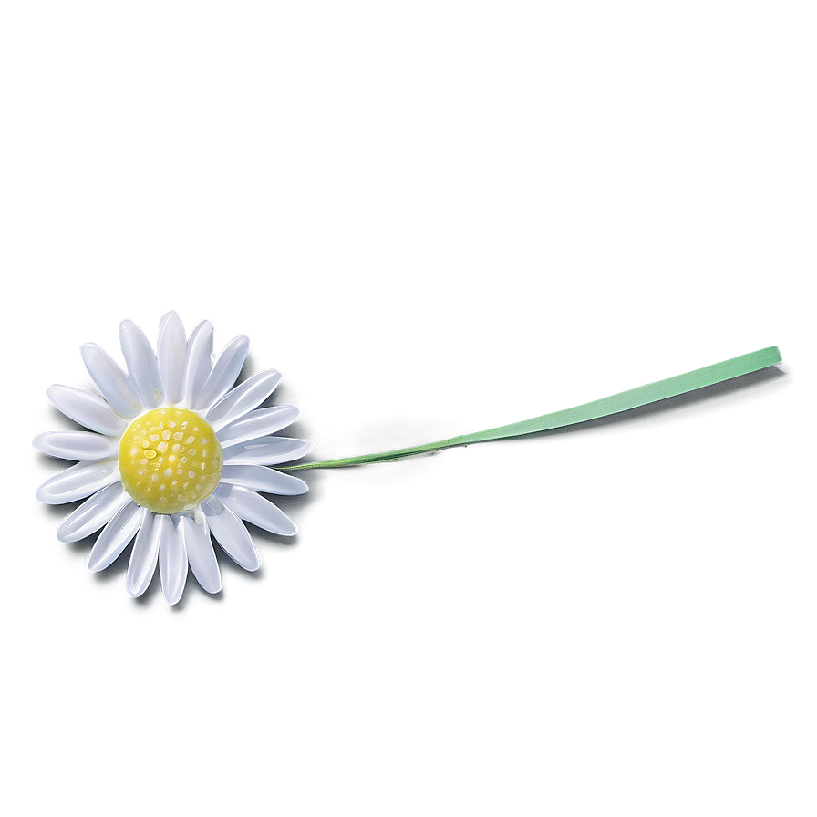 Daisy Ornament Png 45 PNG image