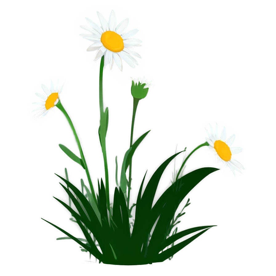 Daisy Silhouette Png 05212024 PNG image